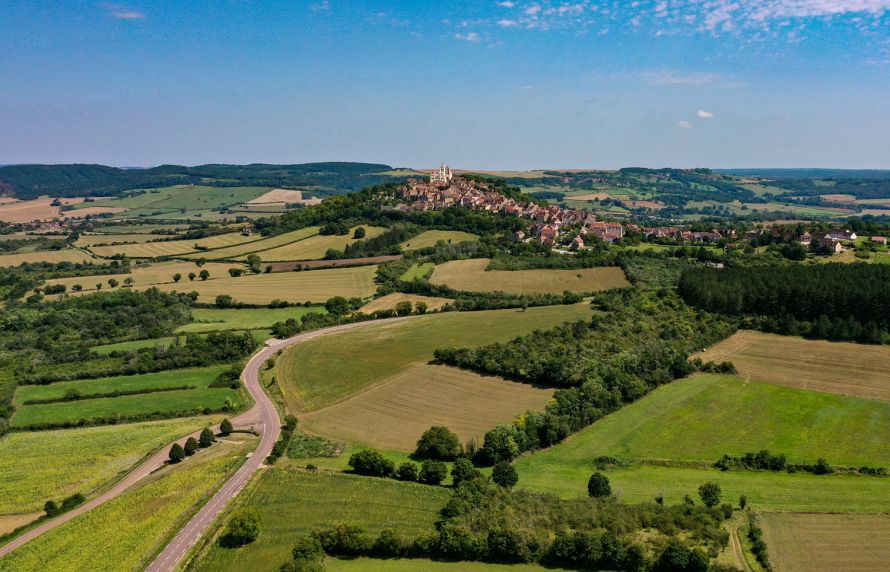 Les plantes des champs et des villes face à de nouveaux périls